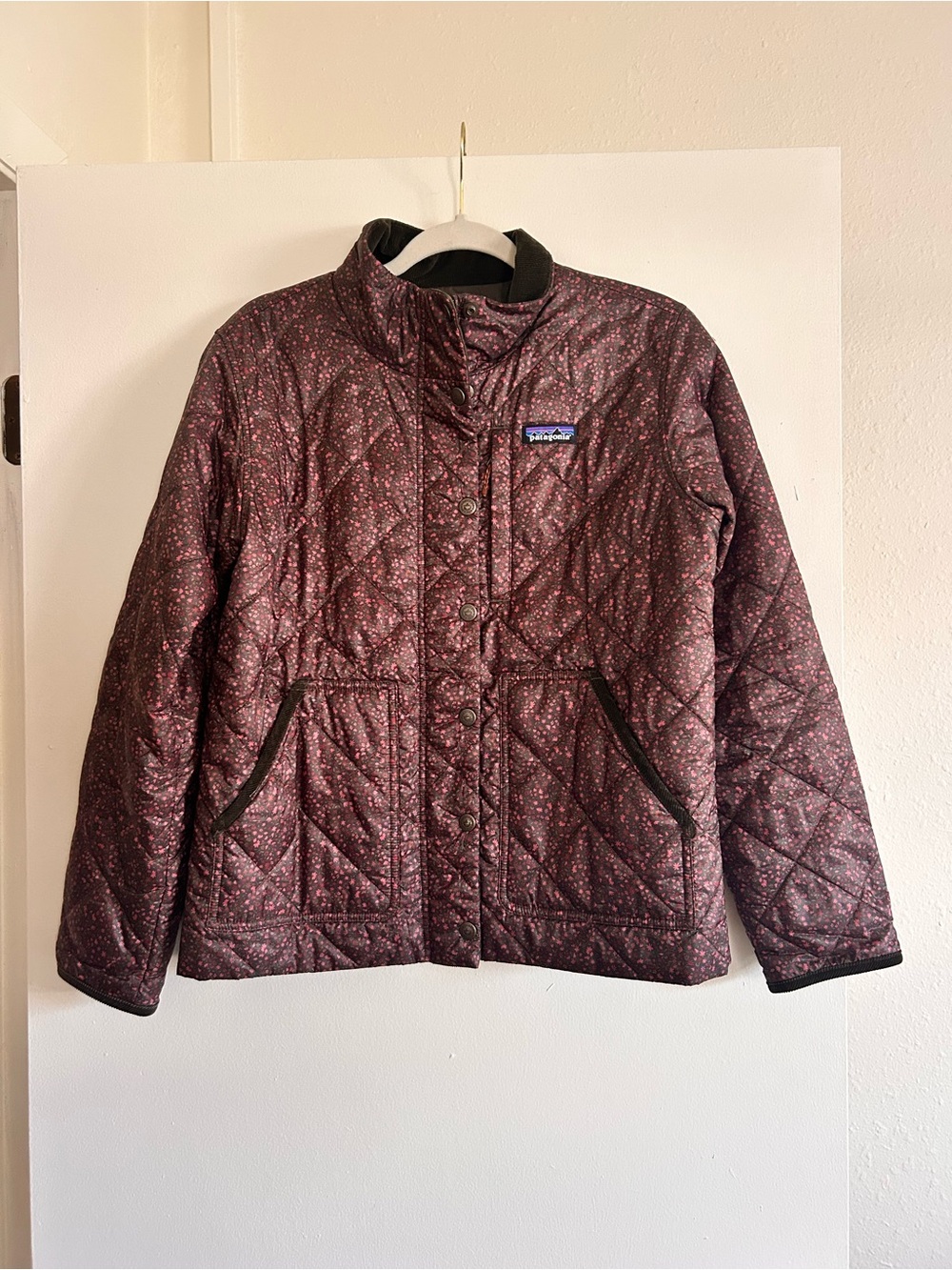 Patagonia W's Back Pasture Jacket